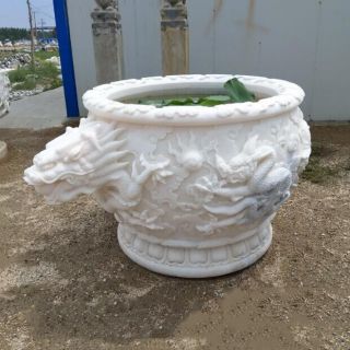 想養(yǎng)好花，怎樣選擇更適合的花盆？