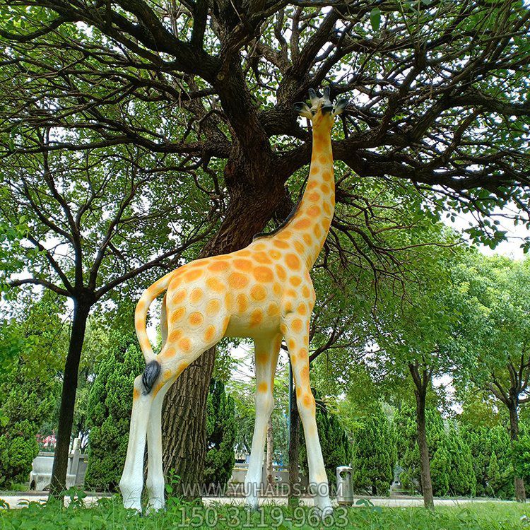 玻璃鋼仿真長(zhǎng)頸鹿，公園園林草坪動(dòng)物景觀(guān)雕塑
